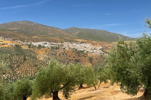 Cortijo i Colomera, Granada, Colomera - € 1.500.000 | Ref: GVCCLM - foto 3